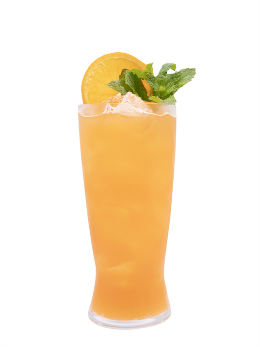 orange ginger beer spritz