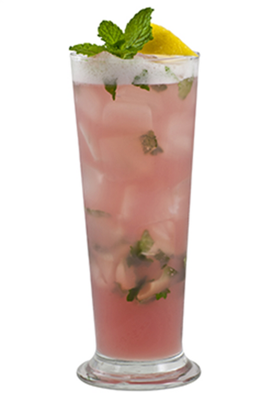 pomegranate mango mojito