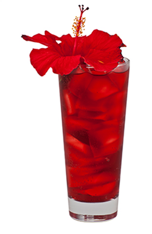 hibiscus strawberry soda