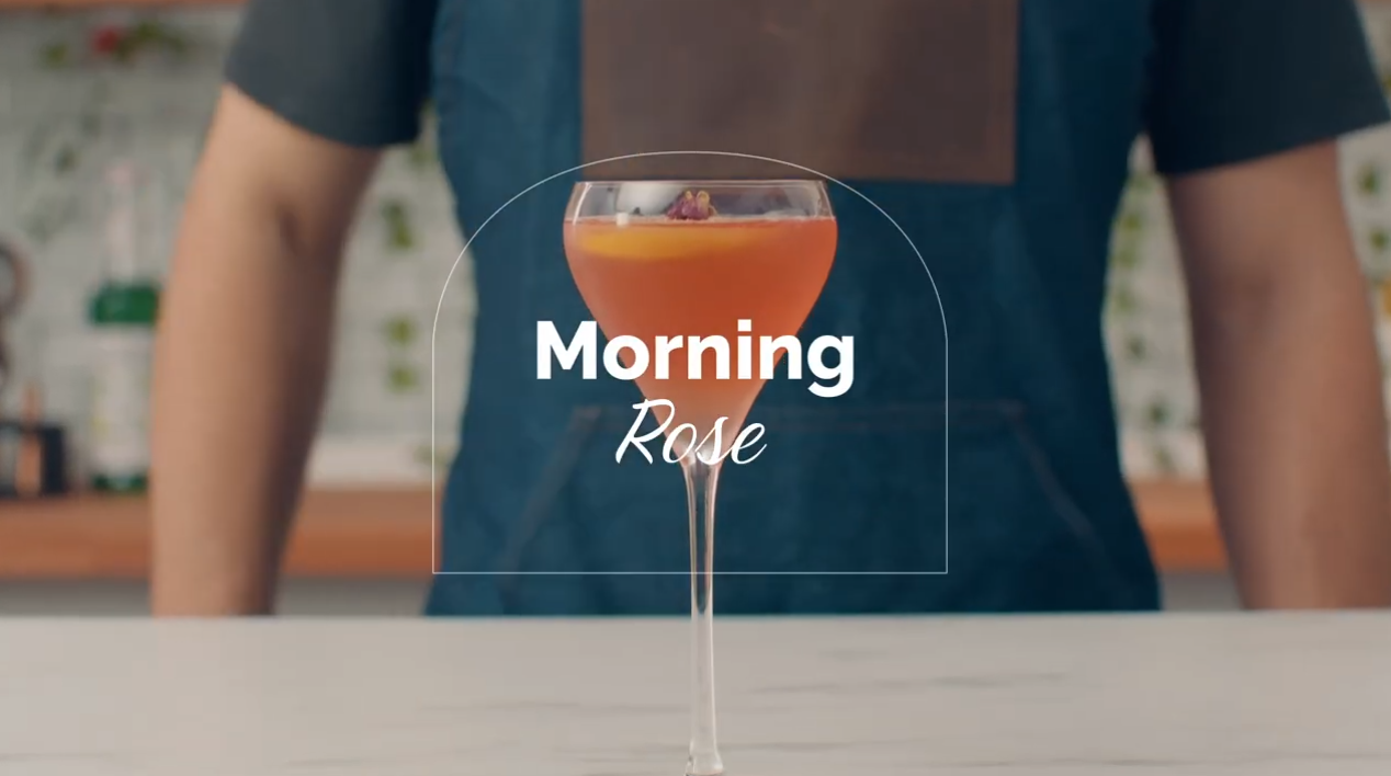 Charger la vidéo : 