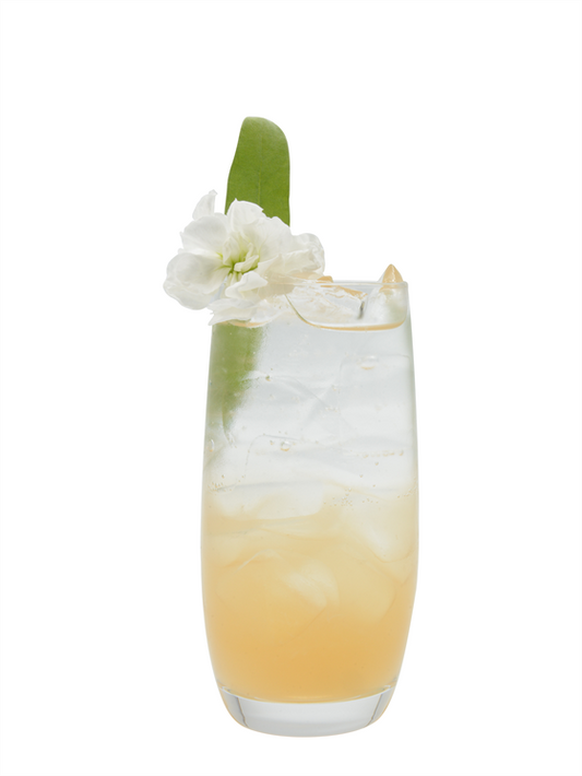 pistachio rose sparkling lemonade