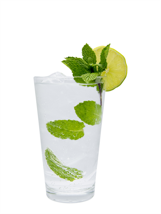 mojito mint sparkling water