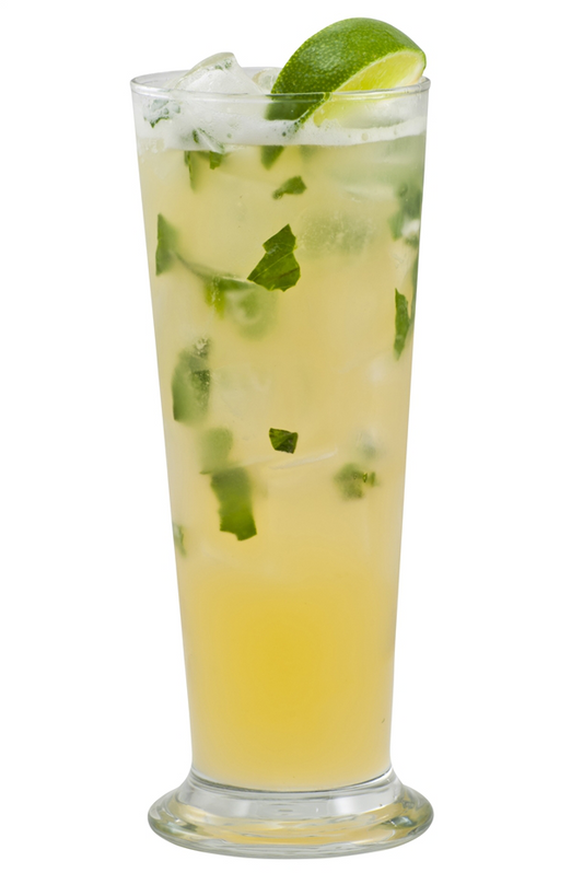 citrus mint soda