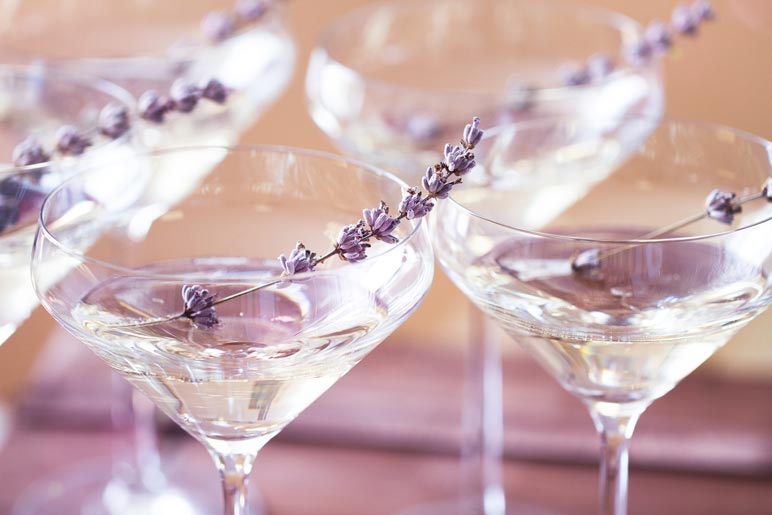 martini glasses with lavender