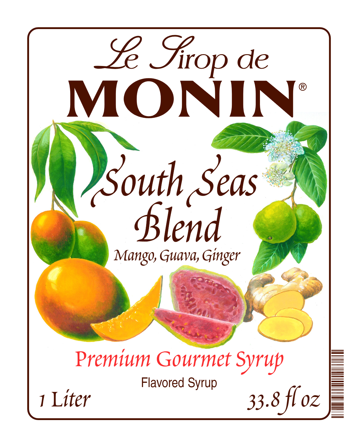 Front label of Monin South Seas Blend Syrup, featuring the brand name and flavour, placed against a white background
